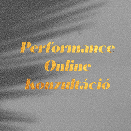 Performance Online Konzultáció
