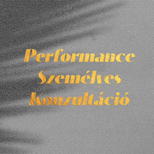 Performance Személyes Konzultáció